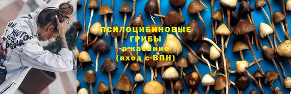 соль курить ск Алексин