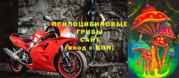 сатива Арсеньев
