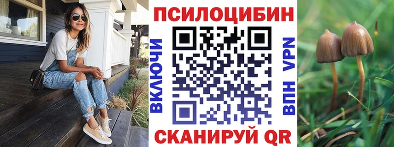 купить закладку  Петропавловск-Камчатский  Галлюциногенные грибы прущие грибы 